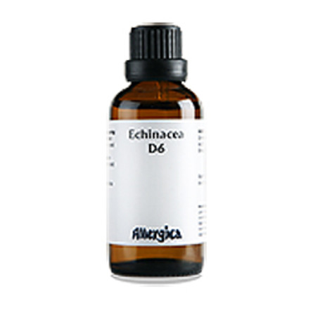 Echinacea D6 50 ml