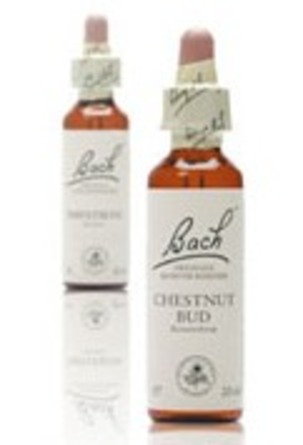 Bachs Abeblomst (Mimulus) 20 ml