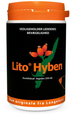 Hyben Vital Lito Hyben 250 kaps.