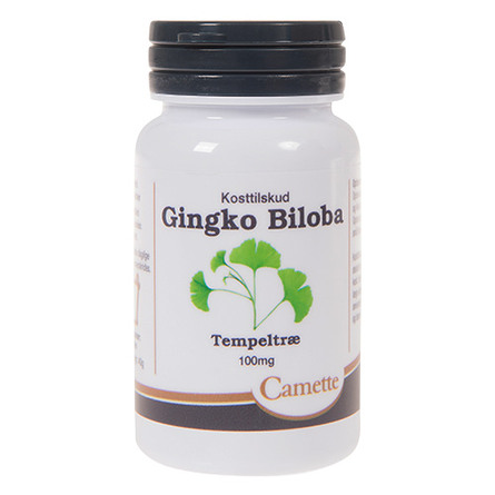 Ginkgo biloba 100 mg 90 stk.