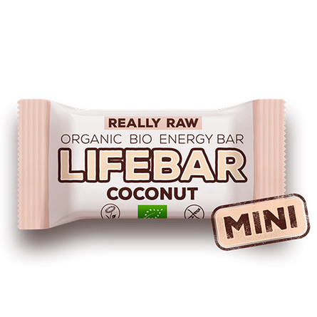 NatureSource Lifebar Mini Coconut Øko Raw 25 gr.