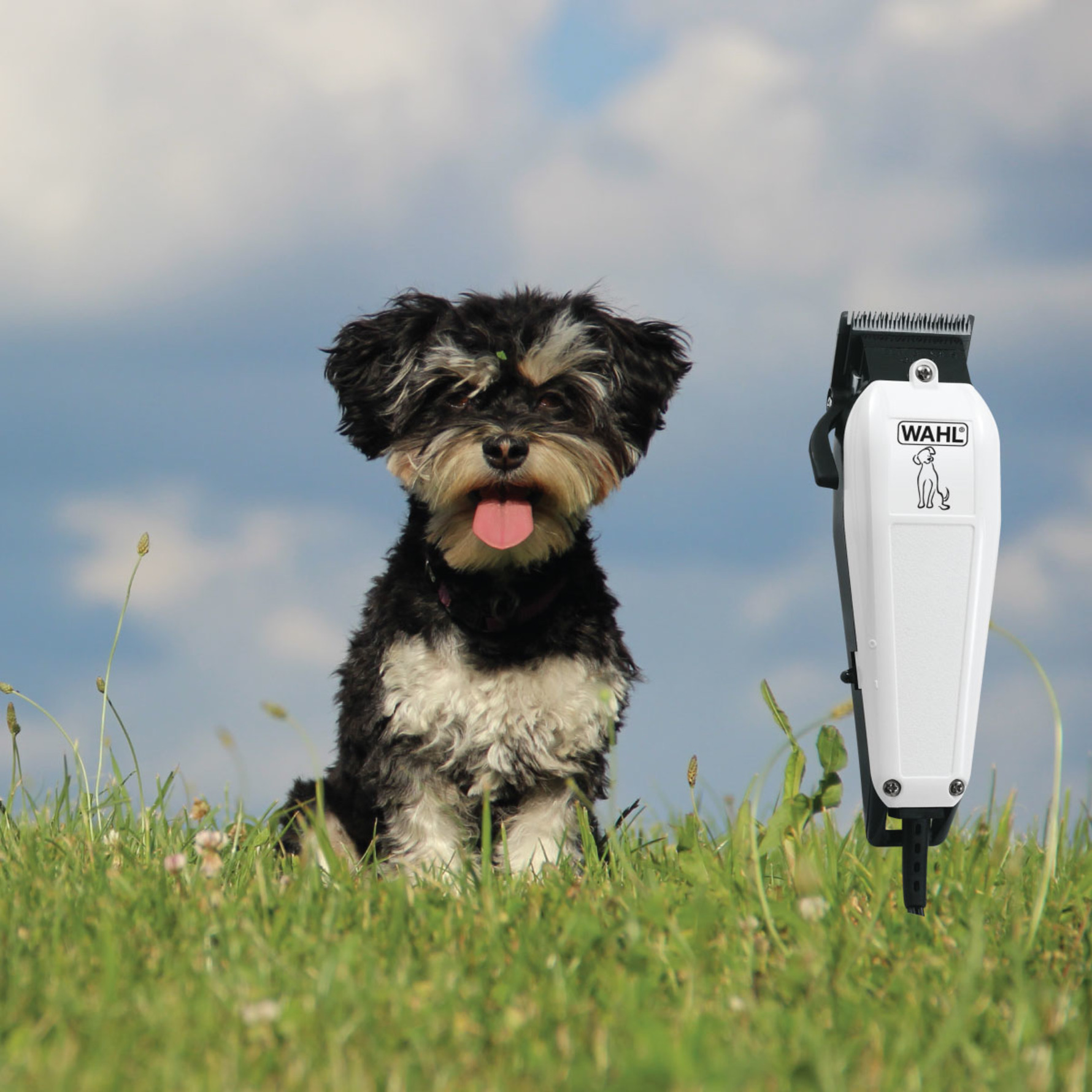 Køb Wahl Hundeklipper Matas