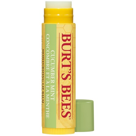 Burt's Bees Cucumber Mint Lip Balm