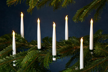 Sirius Carolin 10 stk. Sæt Hvid