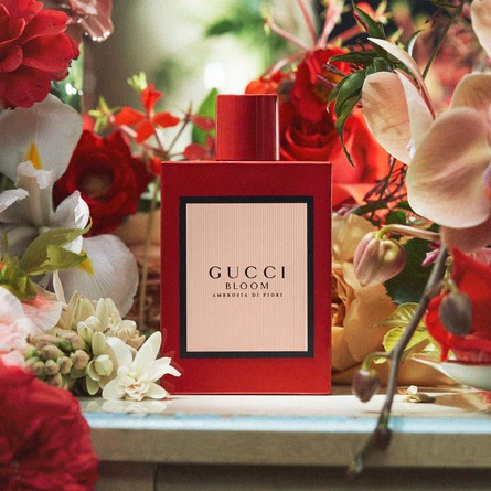 loyalitet Lærerens dag Stikke ud Køb Gucci Bloom Ambrosia di Fiori Eau de Parfum 100 ml - Matas