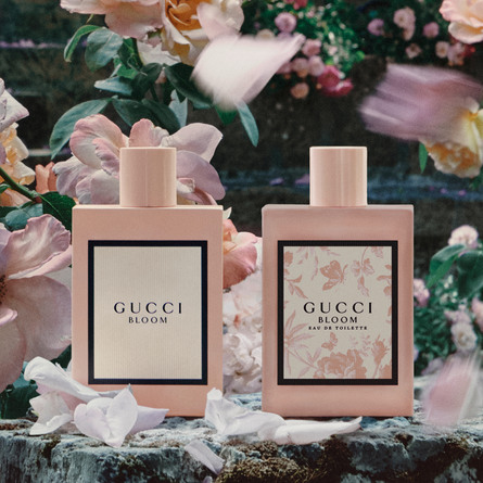 gucci bloom perfume matas