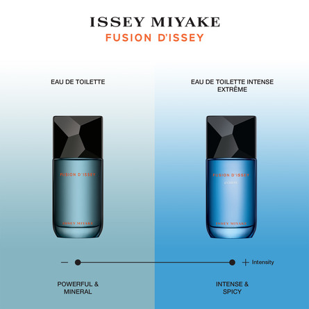 Issey Miyake Fusion Eau de Toilette 100 ml