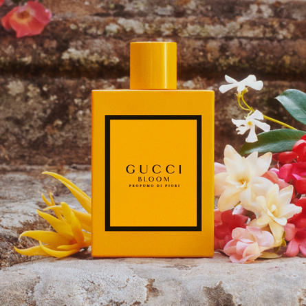 gucci bloom perfume matas