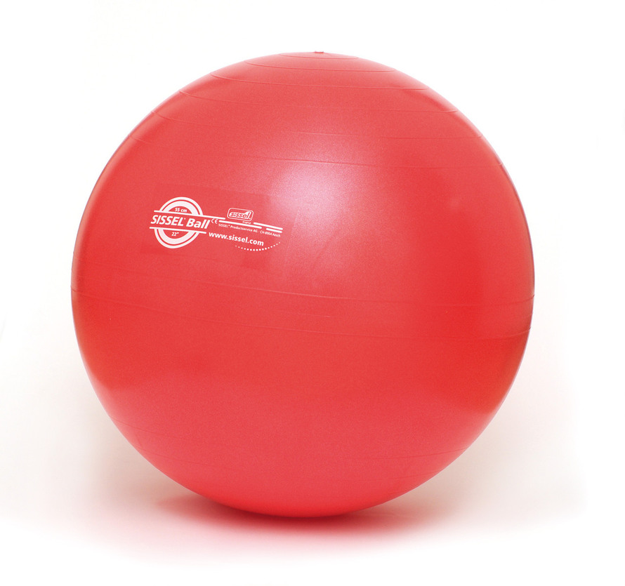 Habubu Umoderne har en finger i kagen Køb Exercise Ball Træningsbold 55 cm (Rød) - Matas