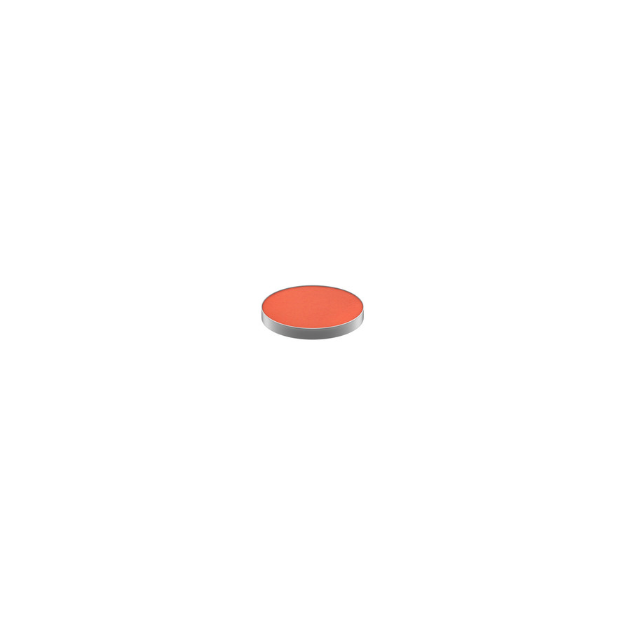MAC Eye Shadow Pro Palette Refill Red Brick Red Brick