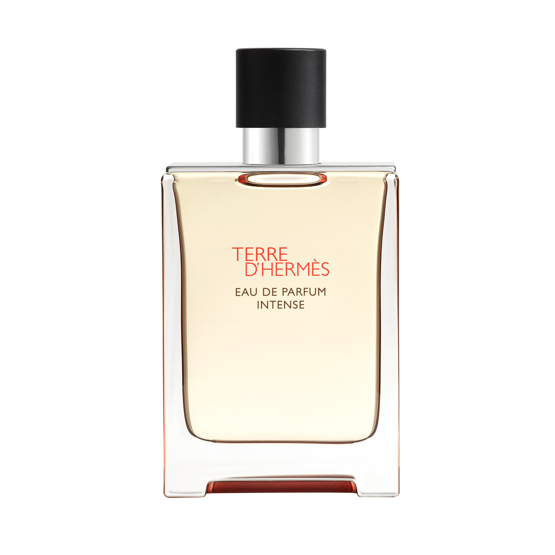 Terre d'Hermès Eau de Parfum Intense 100 ml 100 ml