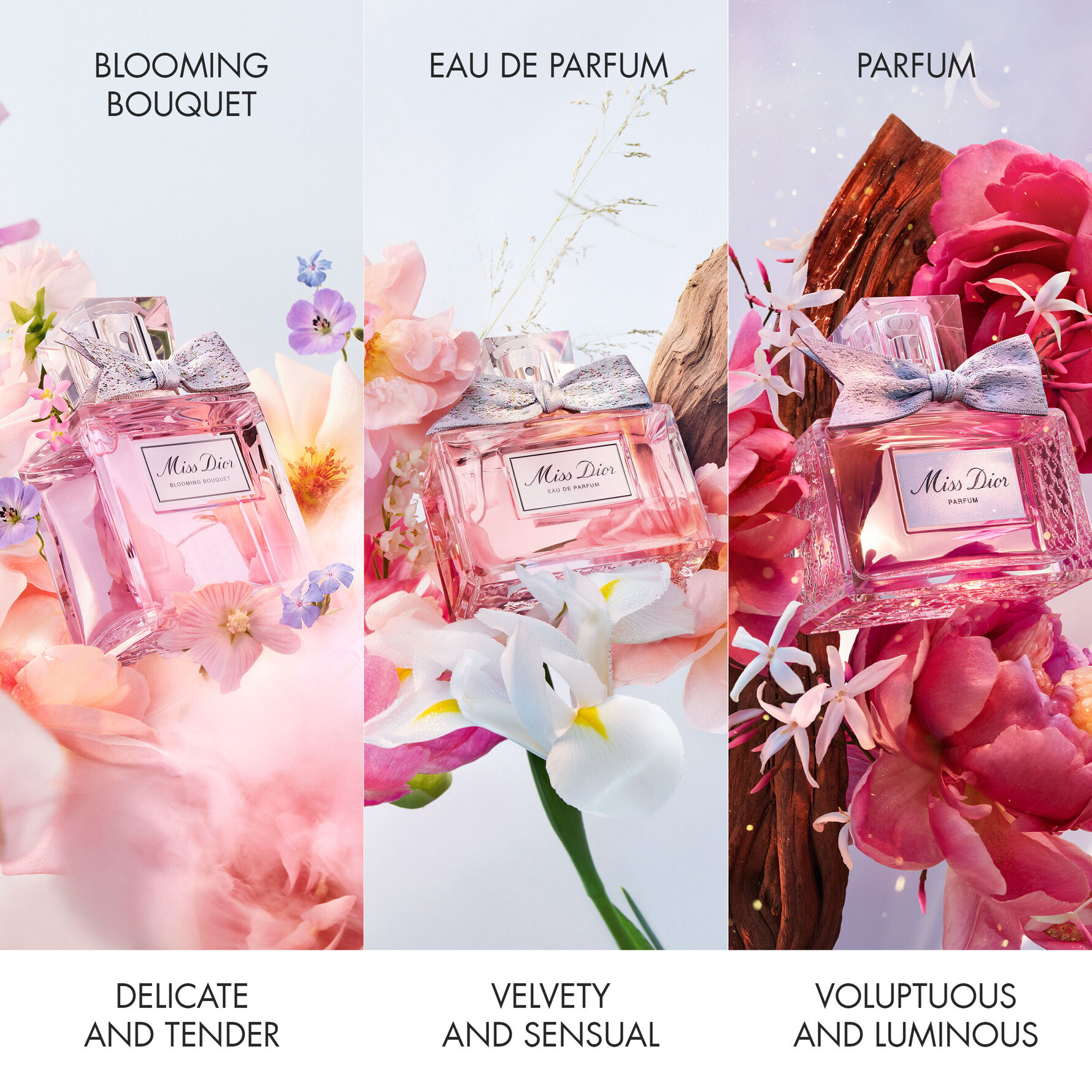 Kjøp Miss Dior Blooming Bouquet Eau de Toilette 30 ml - DIOR - KICKS