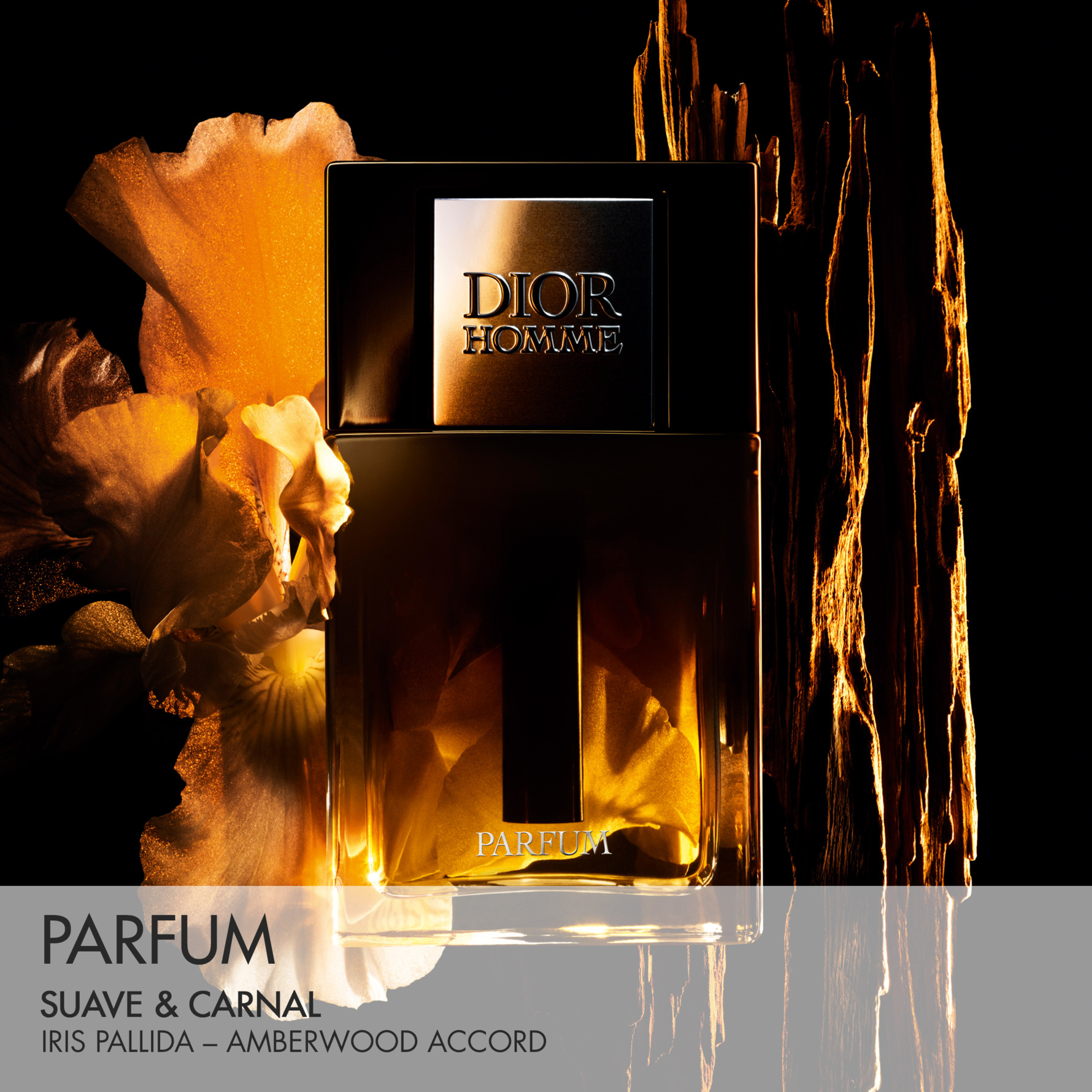 Kjøp Dior Homme Parfum 50 ml - DIOR - KICKS
