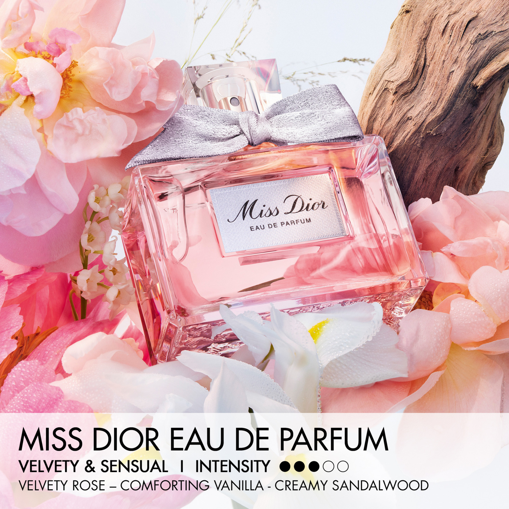 Kjøp Miss Dior Eau de Parfum 50 ml Gift Box - DIOR - KICKS