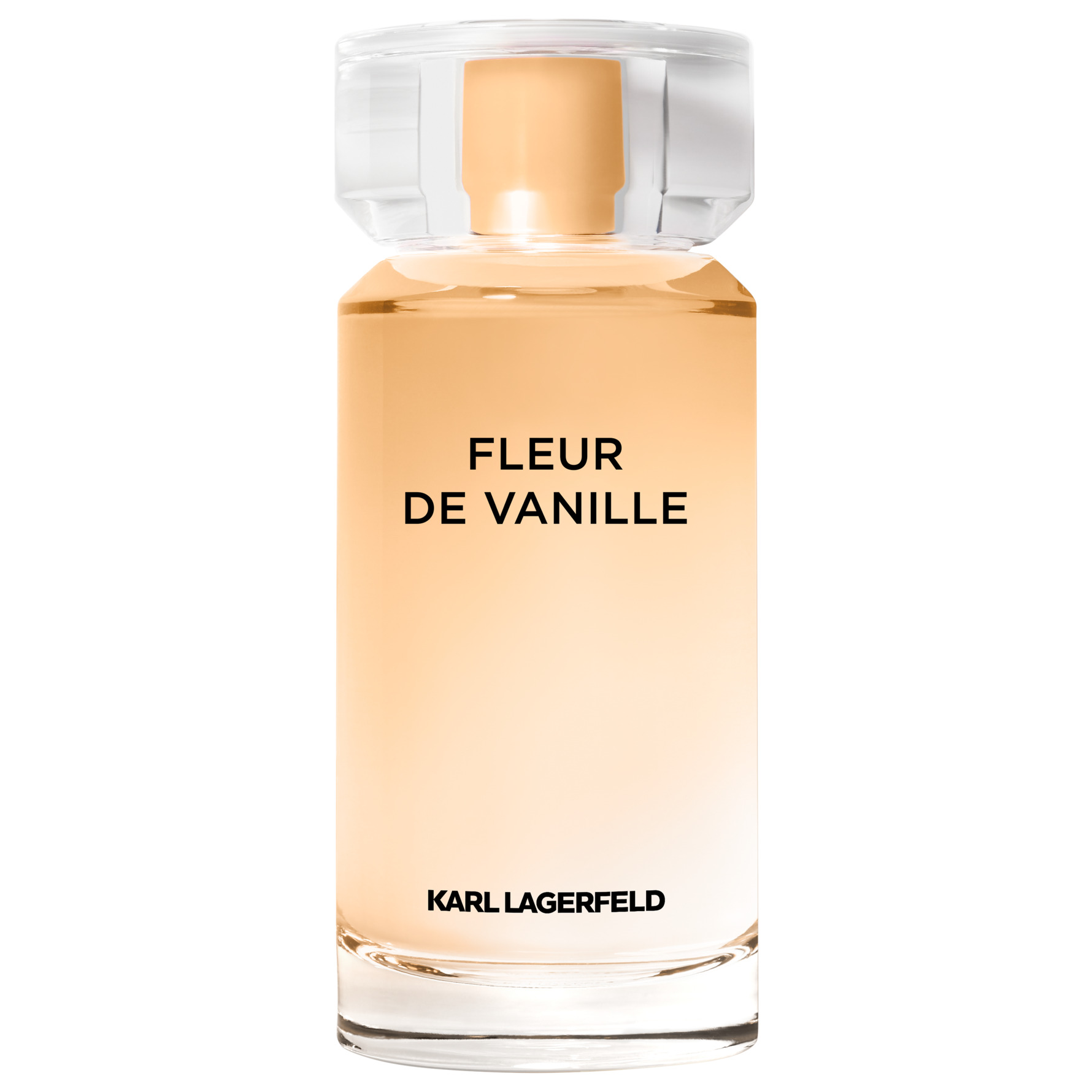 Karl Lagerfeld Les Parfums Matières Fleur de Vanille Eau de Parfum 100 ml 100 ml