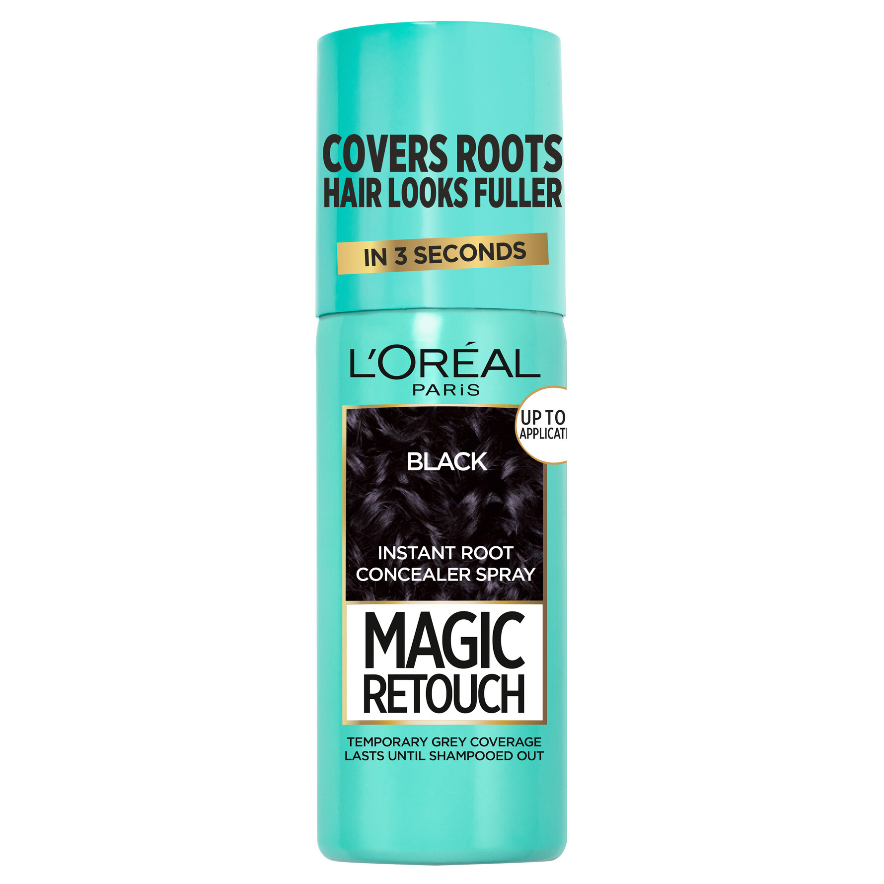 L'Oréal Paris L'Oréal Paris Magic Retouch Direct Color Black Black