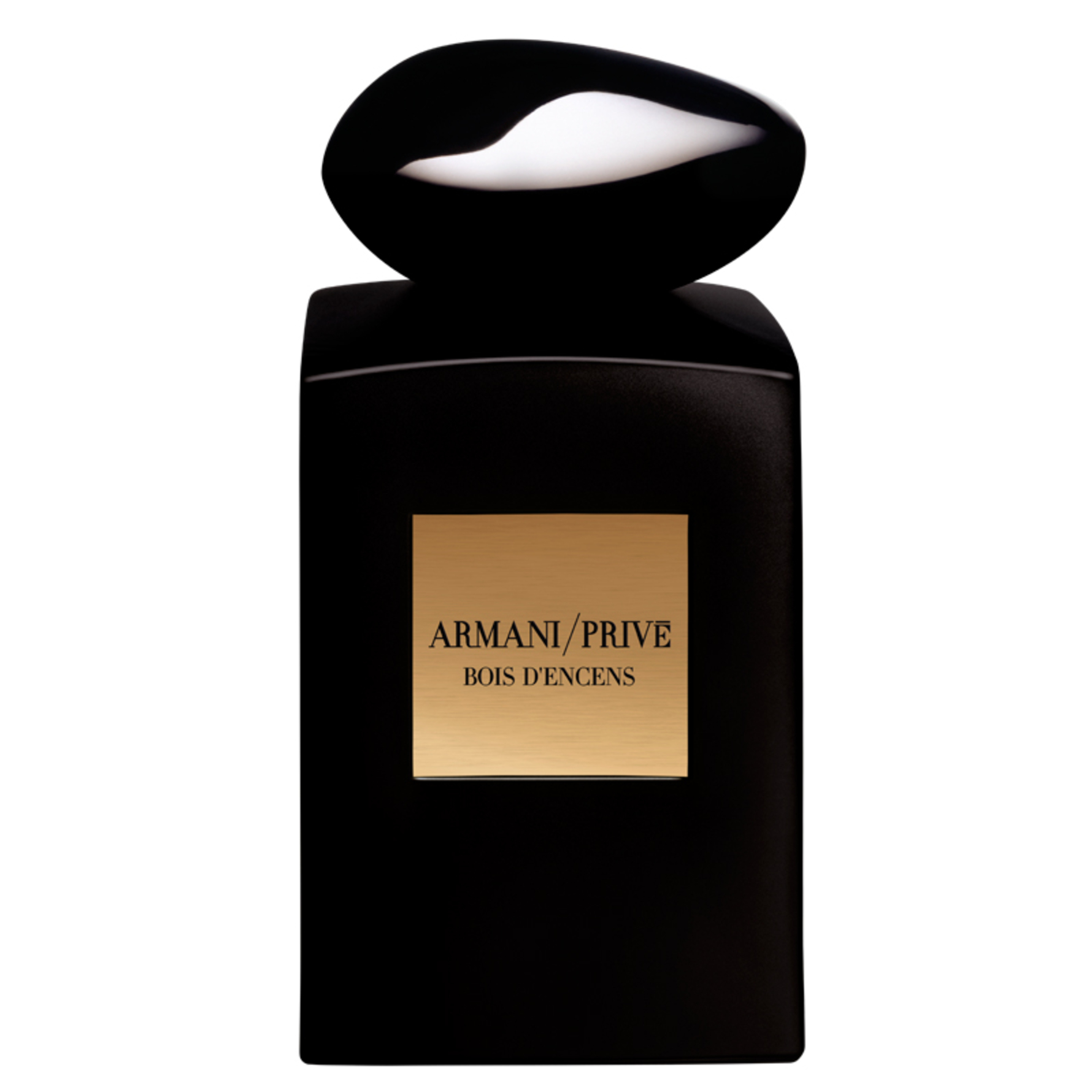 Armani Armani Privé Cuir Noir Eau de Parfum 100 ml 100 ml