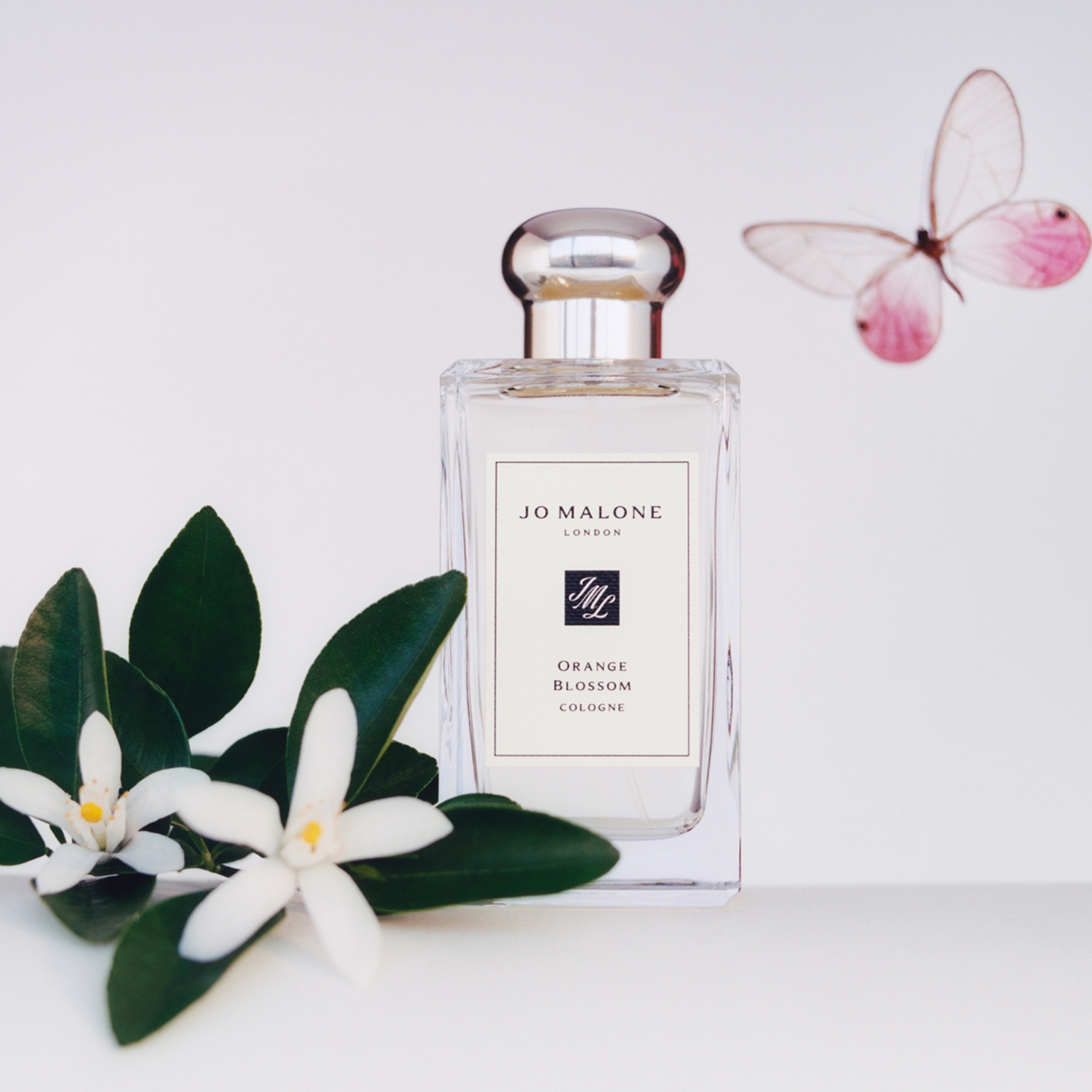 Køb Orange Blossom Cologne 100 ml fra Jo Malone London - Matas