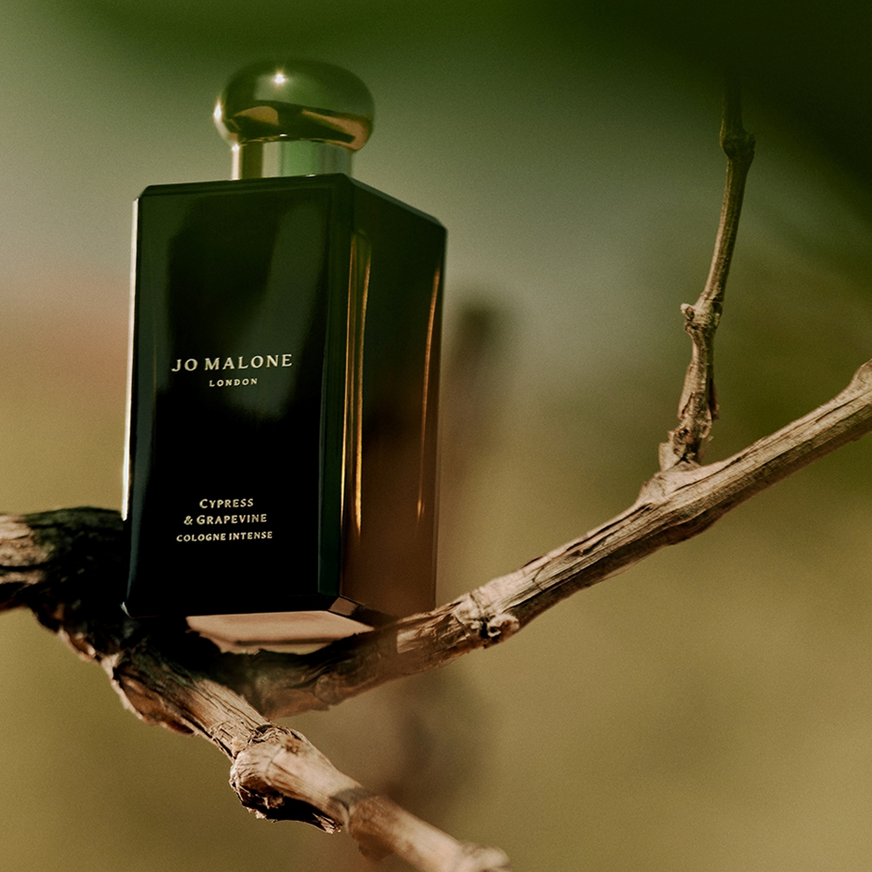 Køb Cypress & Grapevine Cologne Intense 100 ml fra Jo Malone