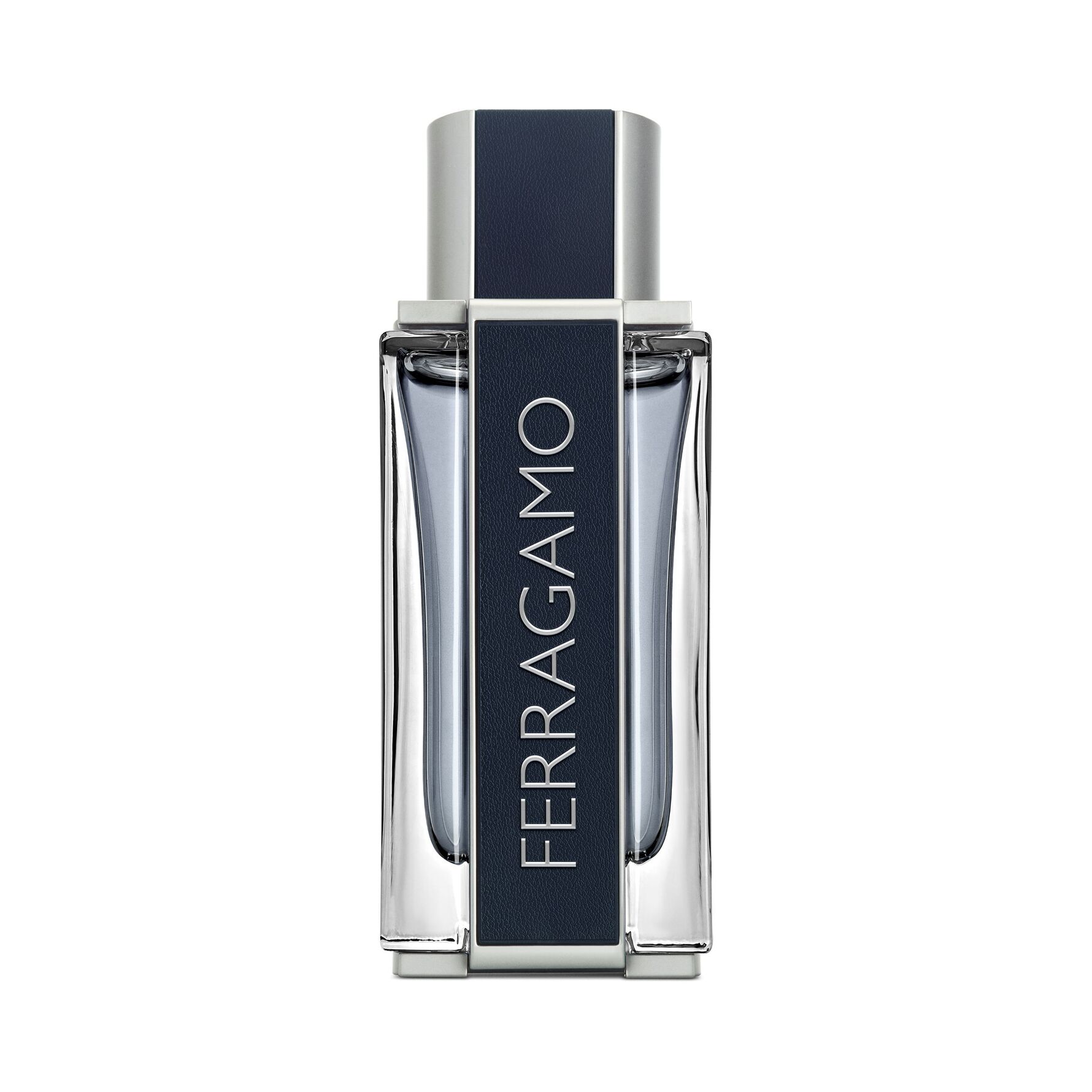 Ferragamo Men Eau de Toilette 100 ml 100 ml