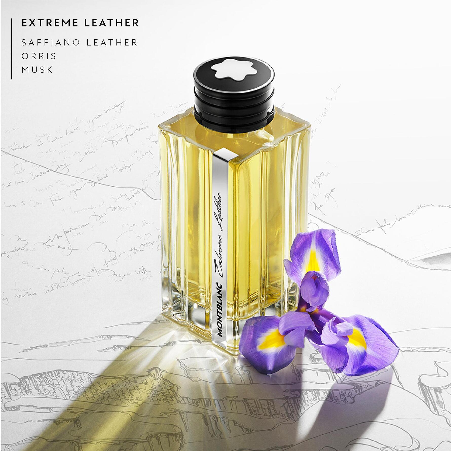 Køb Extreme Leather Eau de Parfum 125 ml fra Montblanc - Matas