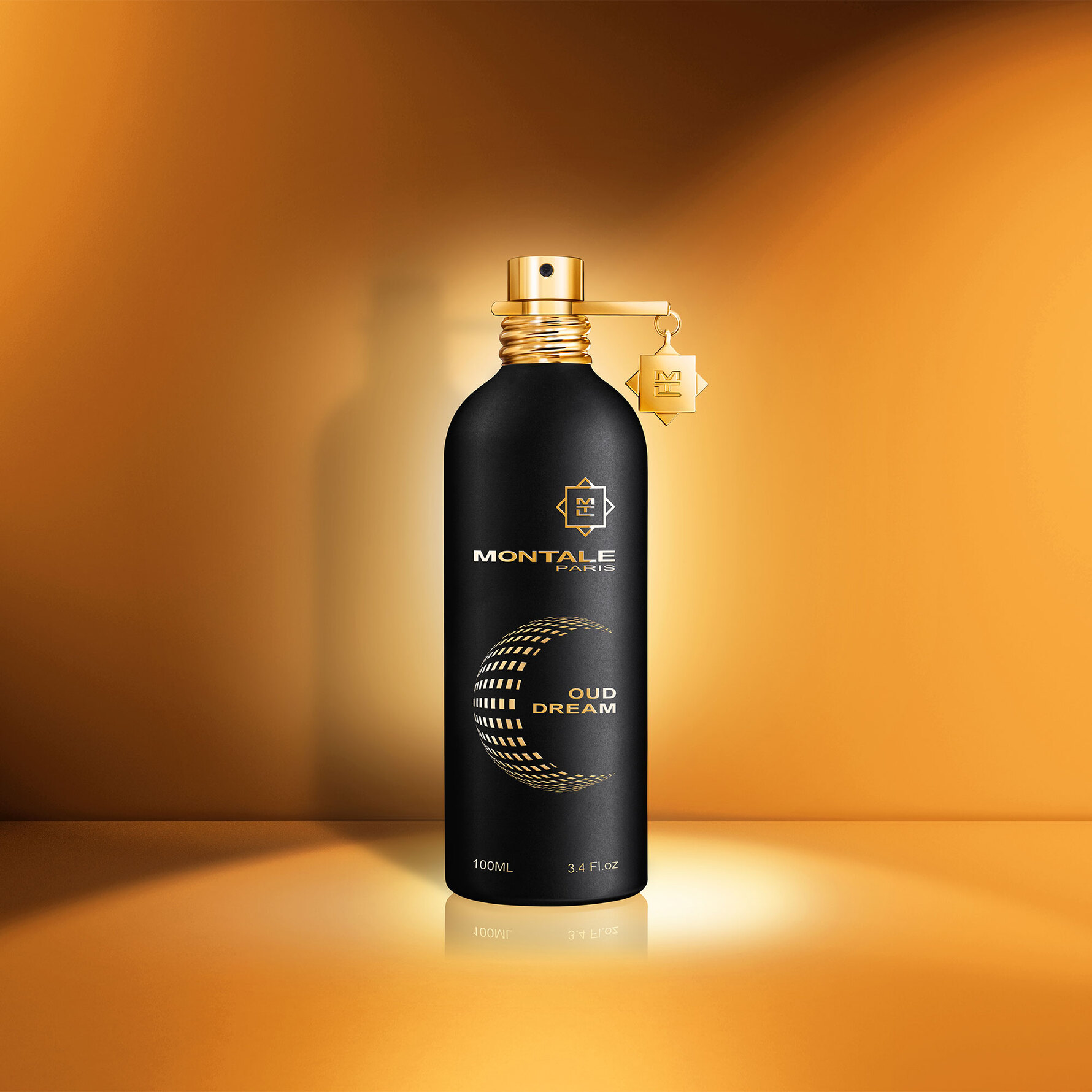 Montale Oud Dream Eau de Parfum 100 ml 100 ml