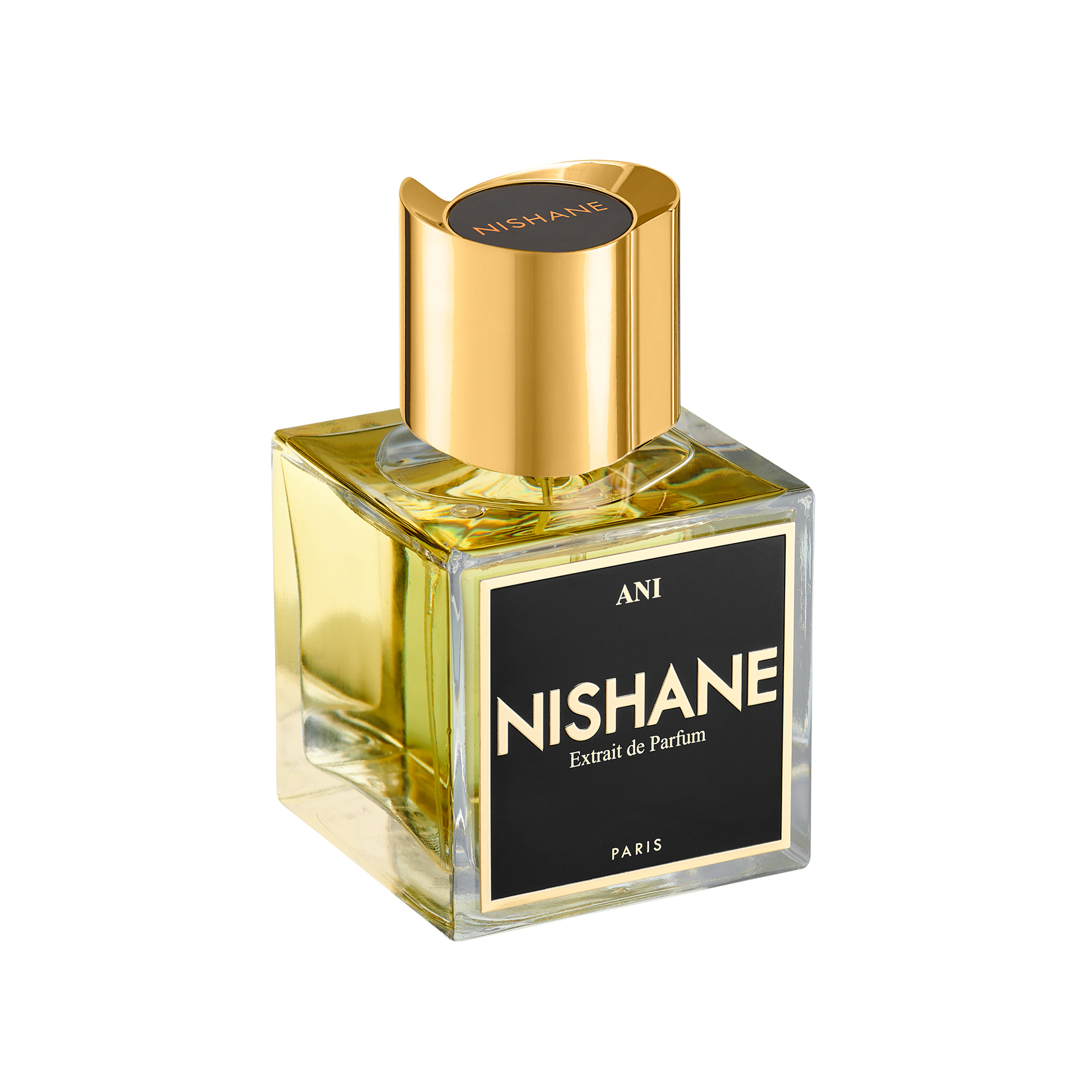 NISHANE Ani Extrait de Parfum 100 ml 100 ml