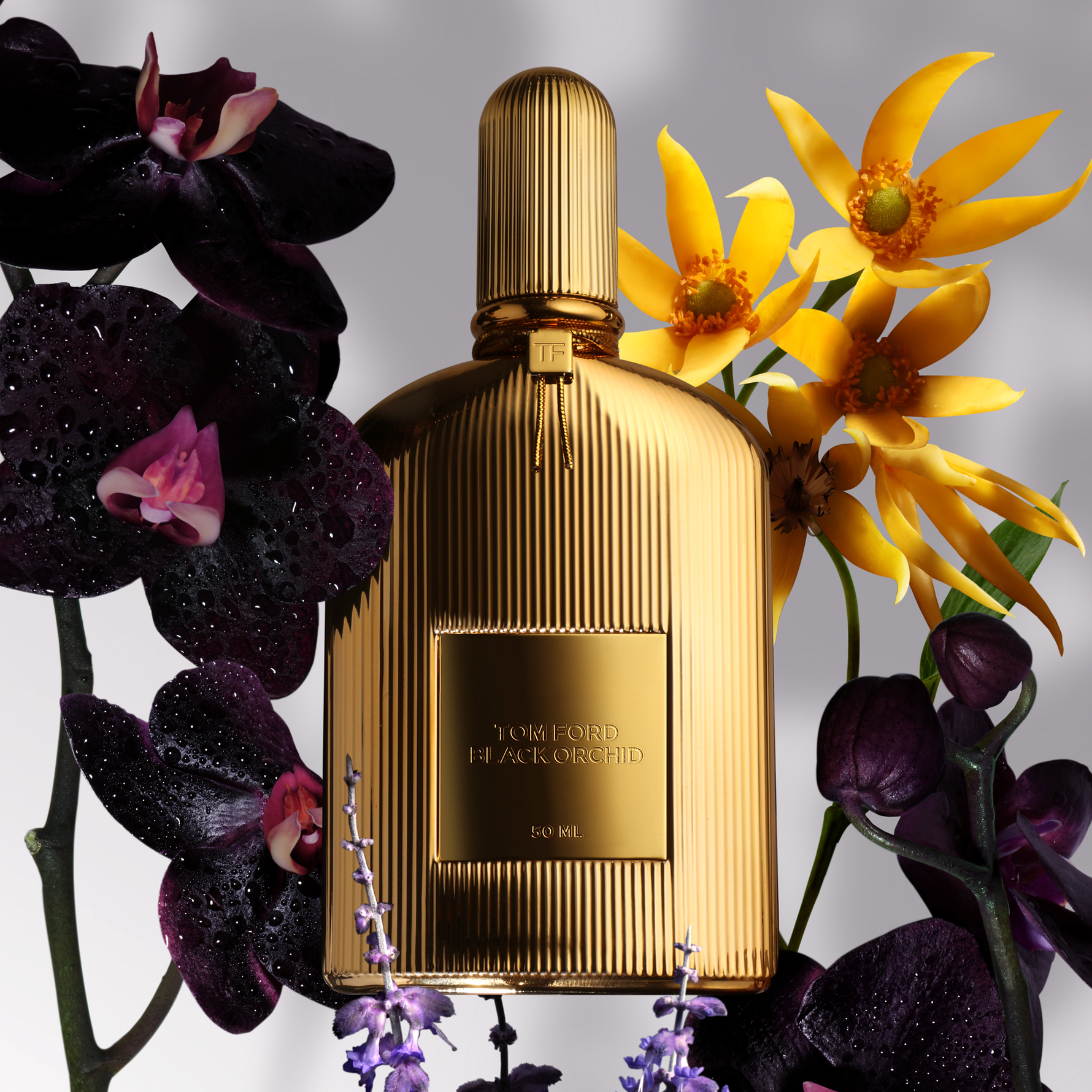 tom ford black orchid matas