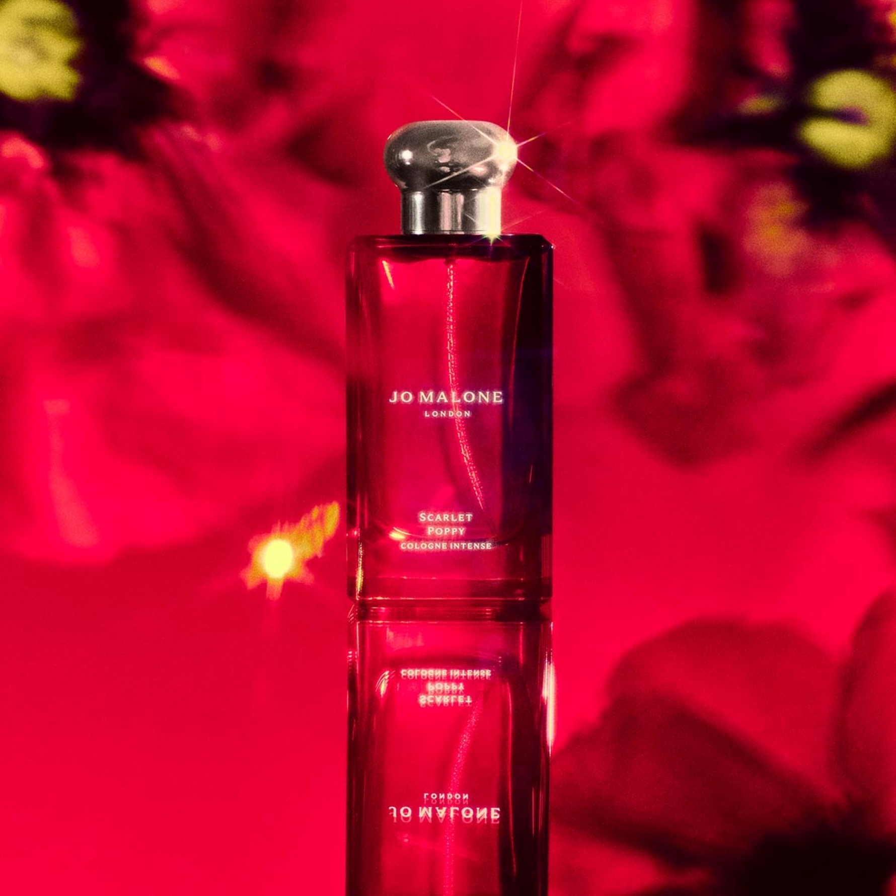 Köp Scarlet Poppy Cologne Intense 50 ml - Jo Malone London - KICKS