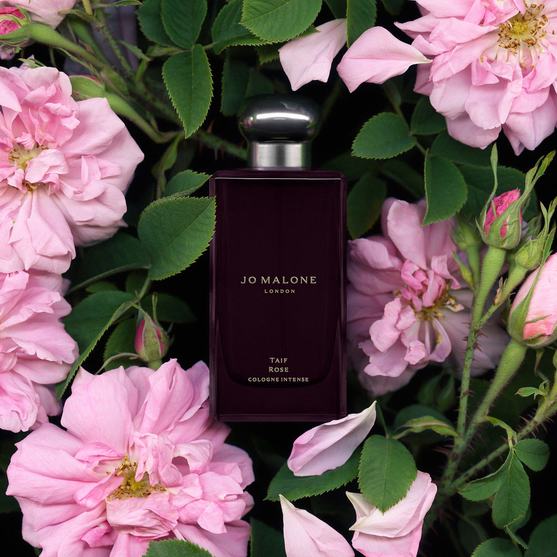 Köp Taif Rose Cologne Intense 50 ml - Jo Malone London - KICKS