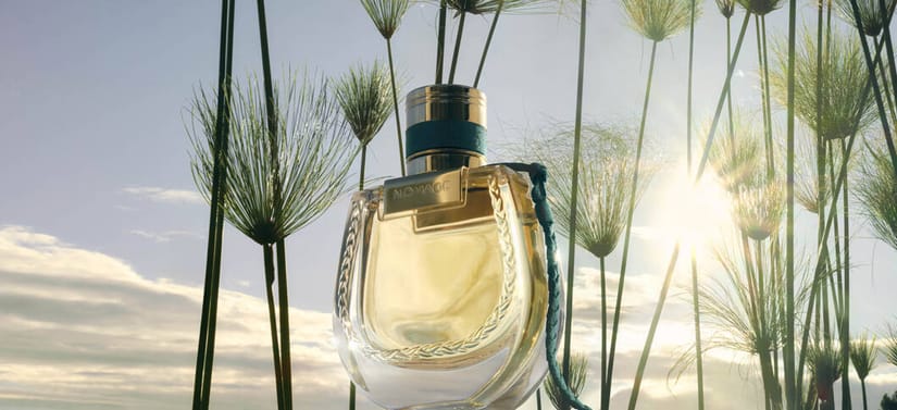 Her ses et billede af en parfumeflakon med teksten “NOMADE” placeret udendørs mellem høje planter. Flakonen er gennemsigtig med gyldne nuancer og har en dekorativ snor fastgjort ved låget. I baggrunden ses himmel og sollys, der skinner gennem planterne.