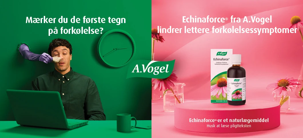 Mand får kildret næsen med en fjer. Tekst: 'Mærker du de første tegn på forkølelse?' Billede af A.Vogel Echinaforce® dråber og æske. Tekst: 'Echinaforce® fra A.Vogel lindrer lettere forkølelsessymptomer.' Nederst står: 'Echinaforce® er et naturlægemiddel. Husk at læse pligtteksten'.