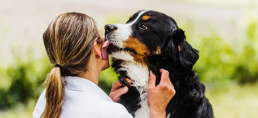 Her ses en kvinde, som bliver slikket på kinden af en hund. De er udenfor. 