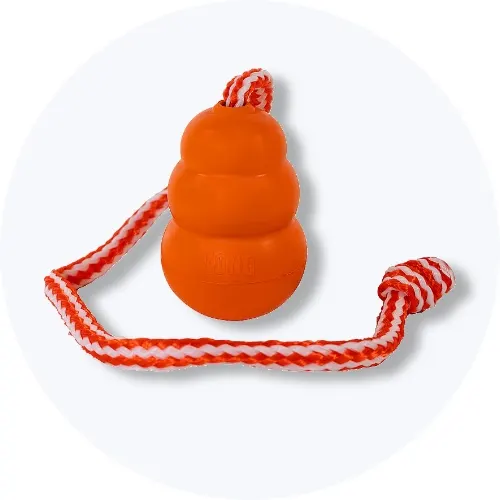 Her ses et orange hundelegetøj med reb på en lys baggrund.