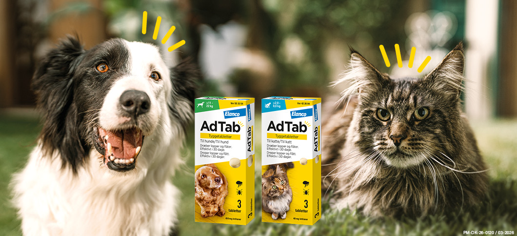 Her ses en hund og en kat på græs sammen med AdTab tyggetabletter mod lopper og flåter i gul emballage.