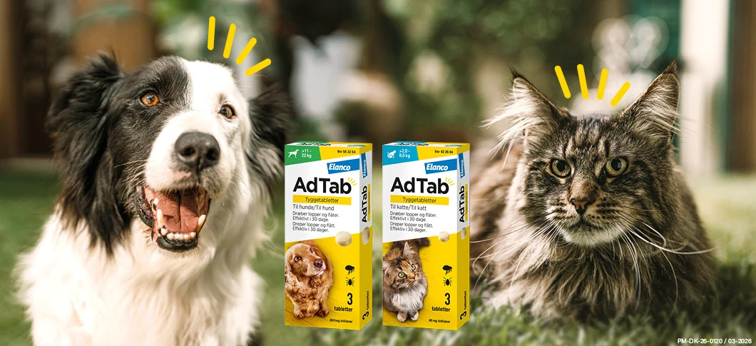 Her ses en hund og en kat på græs sammen med AdTab tyggetabletter mod lopper og flåter i gul emballage.