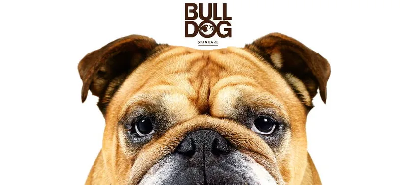 Her ses ansigtet af en bulldog på en hvid baggrund. Over hundens hoved ses Bulldogs logo.