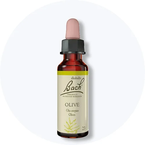 Bach Original Blomsterremedie Olive i brun dråbeflaske med lyserød pipette på lys grå baggrund.