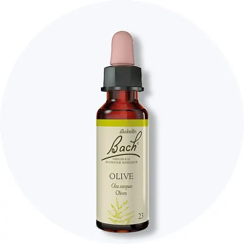 Bach Original Blomsterremedie Olive i brun dråbeflaske med lyserød pipette på lys grå baggrund.