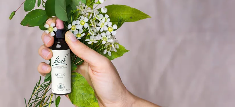 En hånd holder en Bach Original Blomsterremedie Aspen dråbeflaske foran grønne blade og små hvide blomster på lys baggrund.