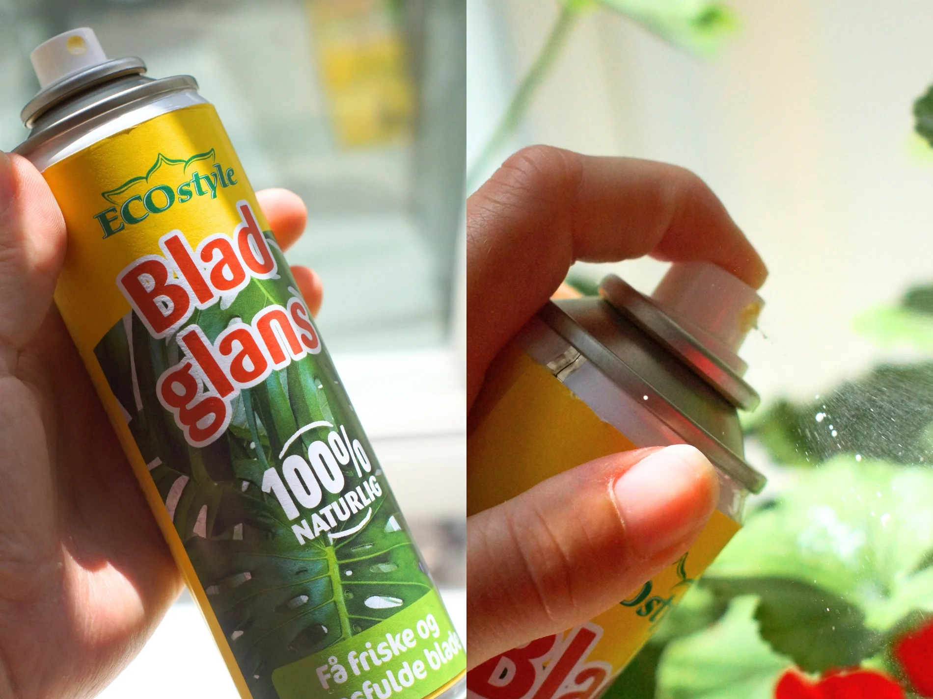 billede af produkt, der giver stueplanter mere glansfulde blade