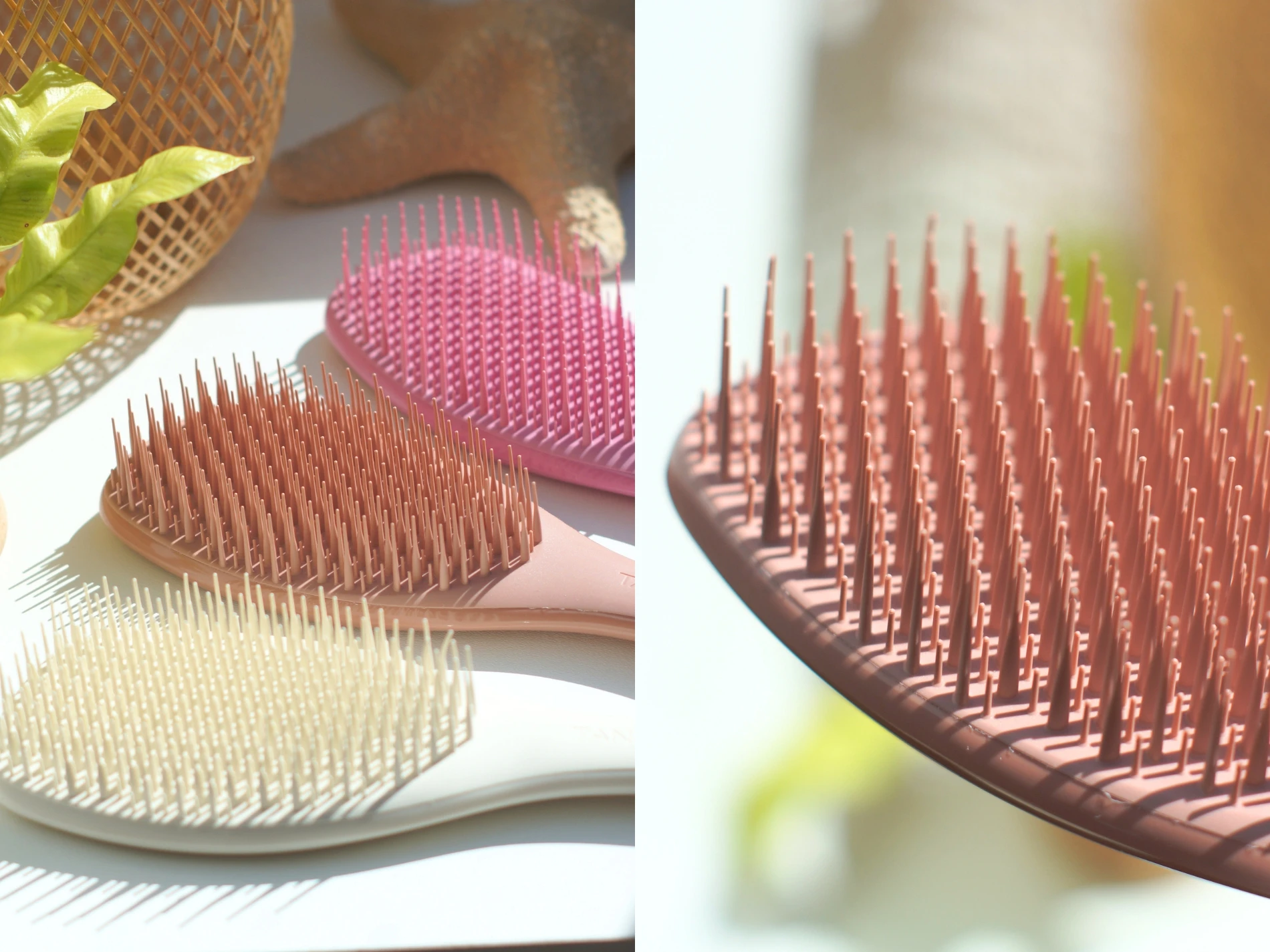 Billede af børster fra Tangle teezer
