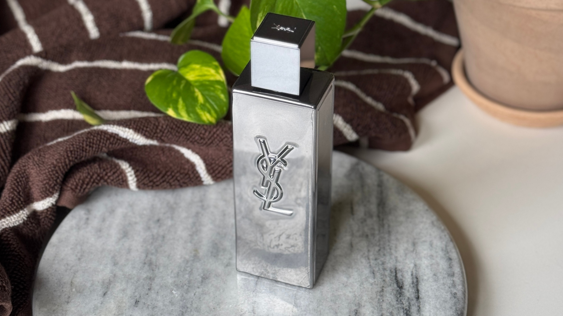 ysl-header-16-9.png