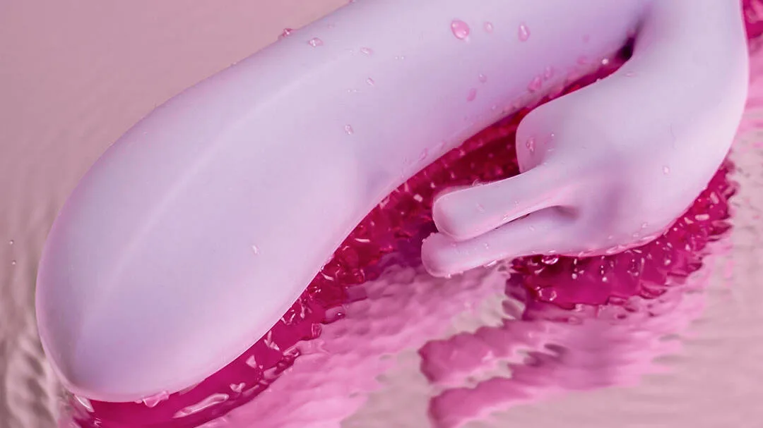 Rabbit vibrator.jpg