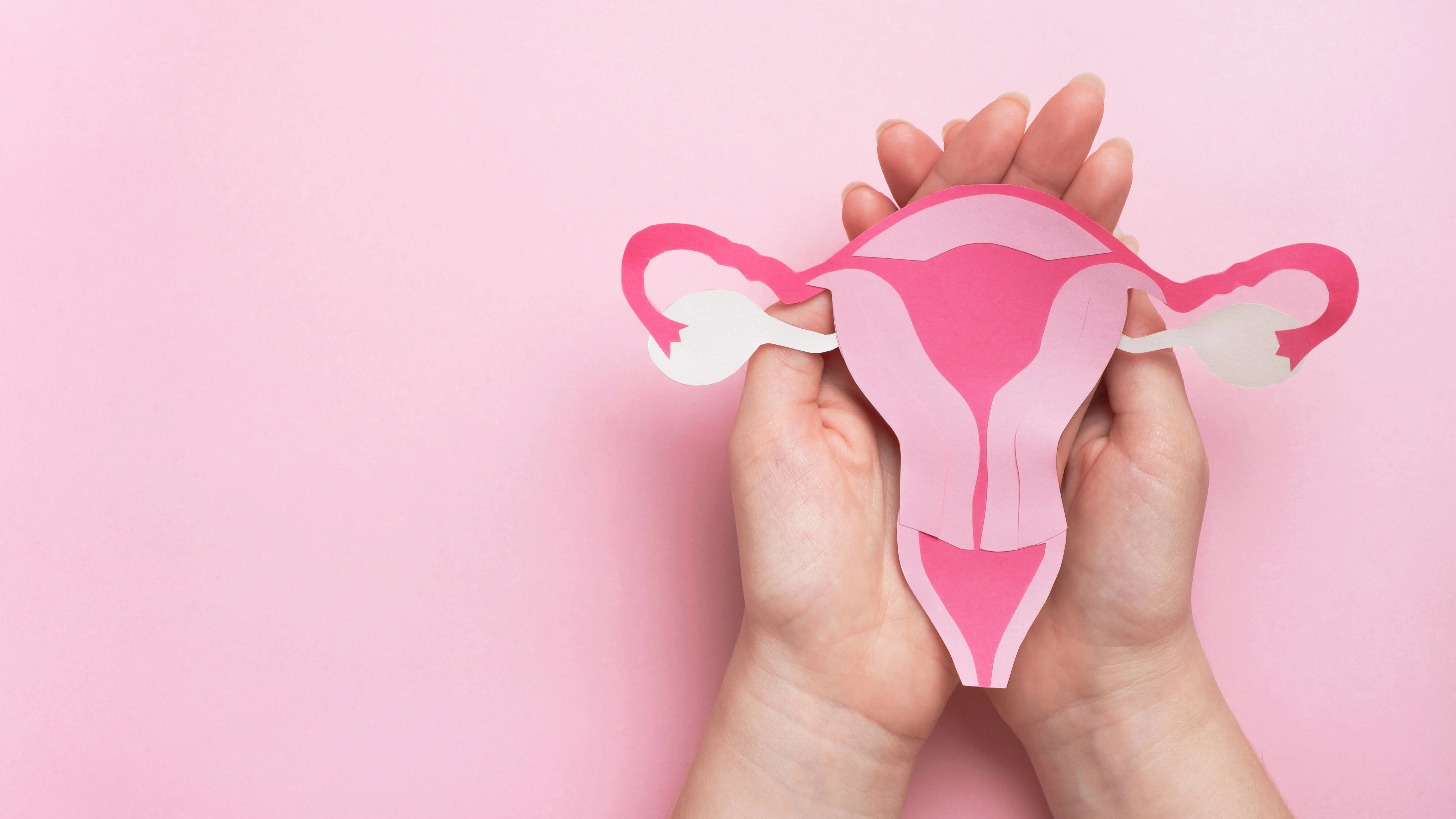 Topbanner menstruation.jpg