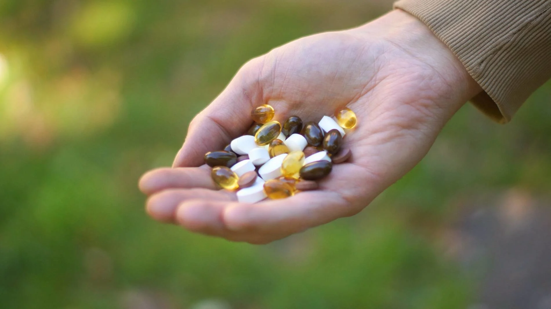 Banner Pharma Nord.jpg