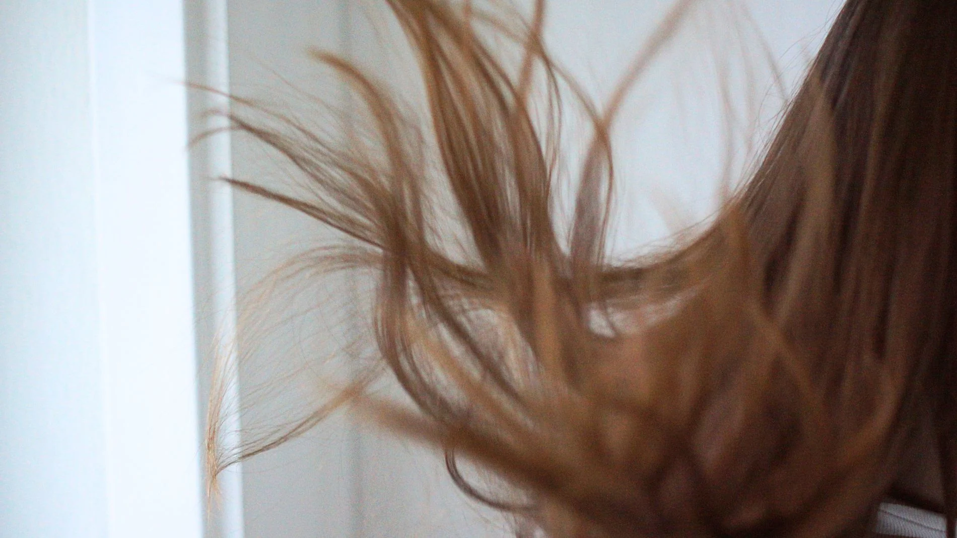Hairlust banner.jpg