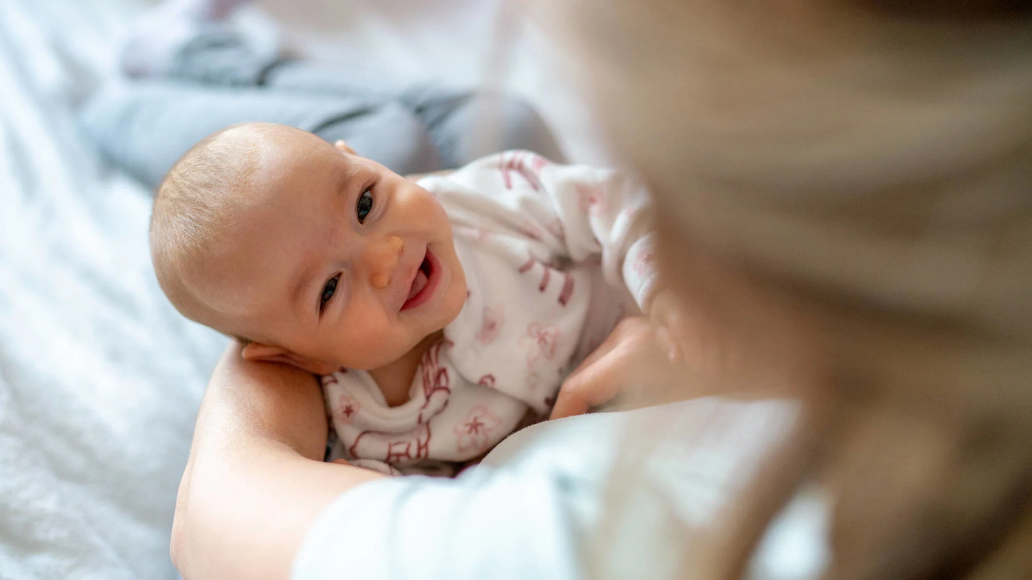 Baby 2. tigerspring 2 mdr banner.jpg
