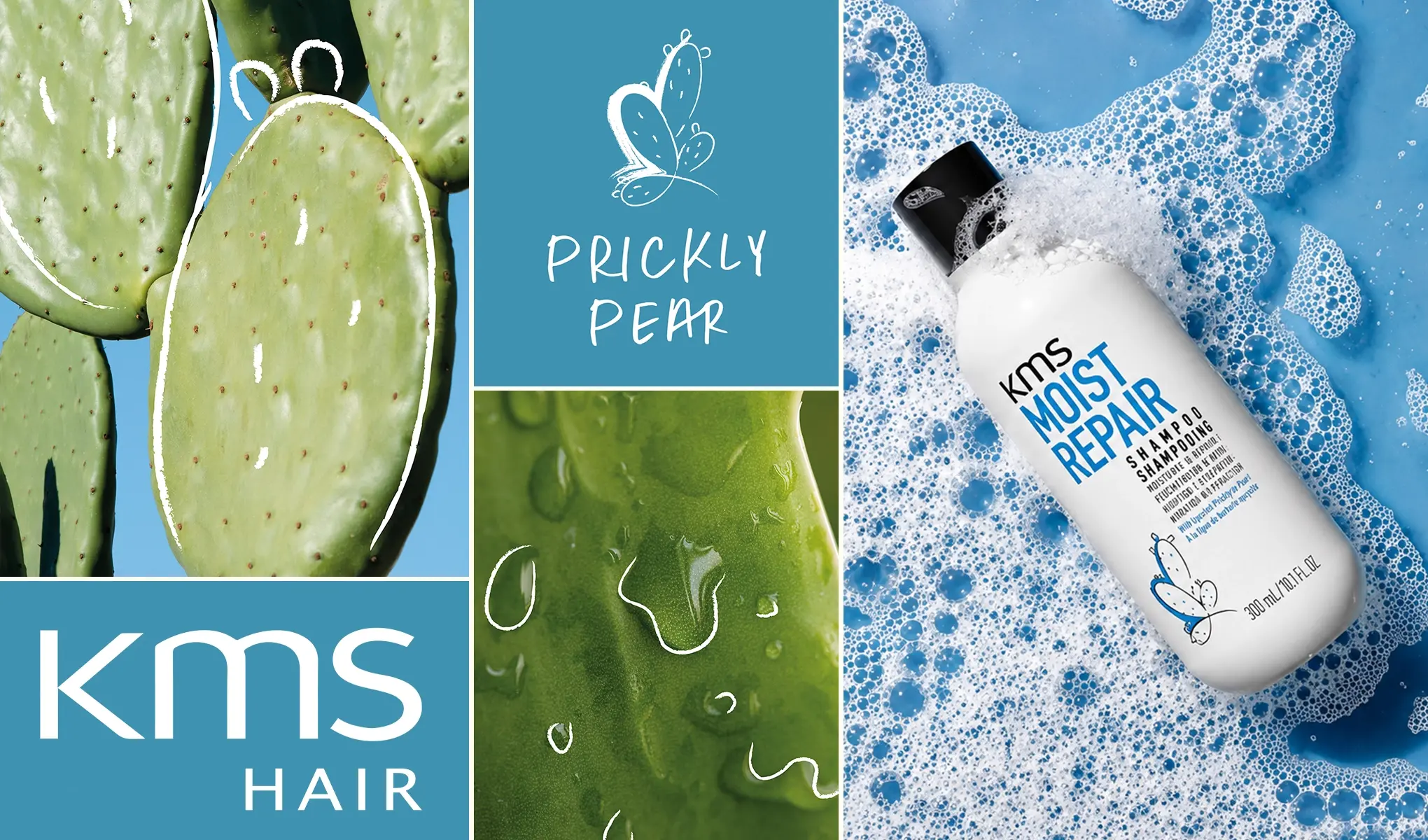 KMS Hair Moist Repair Shampoo vises sammen med prickly pear-kaktus og blått skum mot blå bakgrunn. Bildet viser teksten «PRICKLY PEAR», «kms HAIR» og produktetiketten «KMS MOIST REPAIR SHAMPOO» med fuktgivende hårpleie for tørt hår.