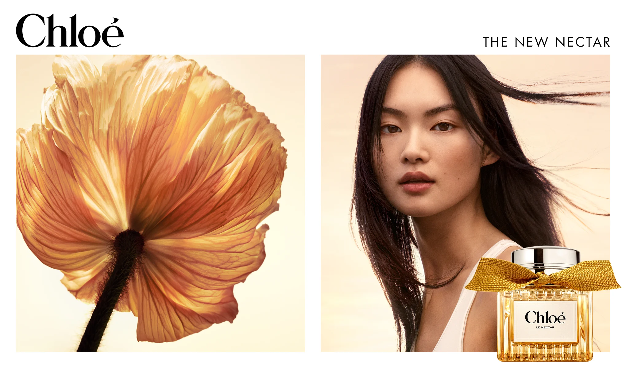 Chloé Le Nectar parfym i en gyllene glasflaska med guldfärgad rosett framför en person med långt mörkt hår, bredvid en stor orangegul blomma. Texten ”Chloé”, ”THE NEW NECTAR” och ”Chloé LE NECTAR” syns i bilden.
